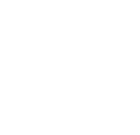 palm trees