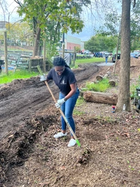 DCBIA Collaboration